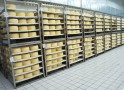 Свердловская область сотрудничает с Венгрией